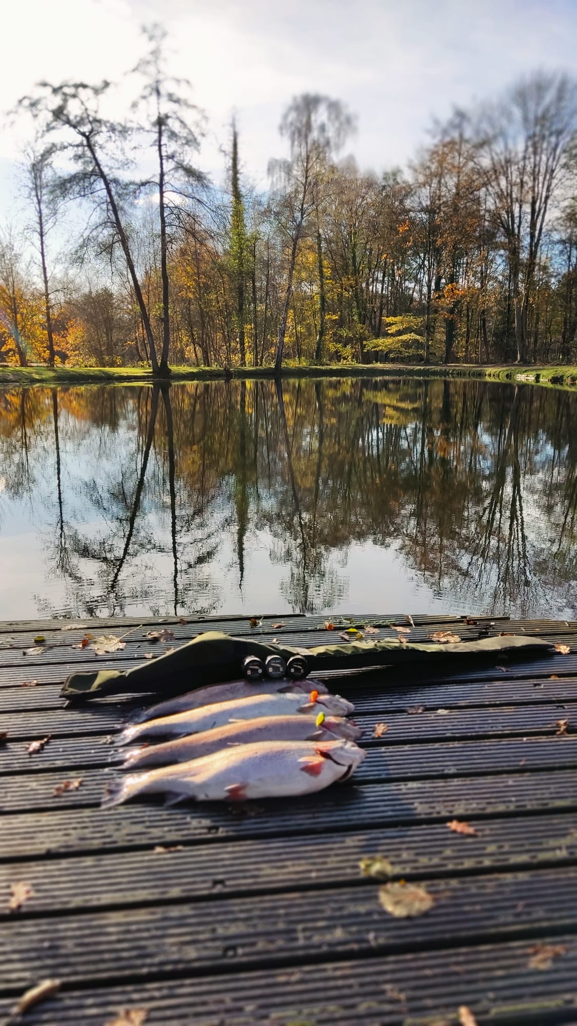 Lux Maden 70 mm – UV Softbait für Forelle & Lachs | Lux Bait