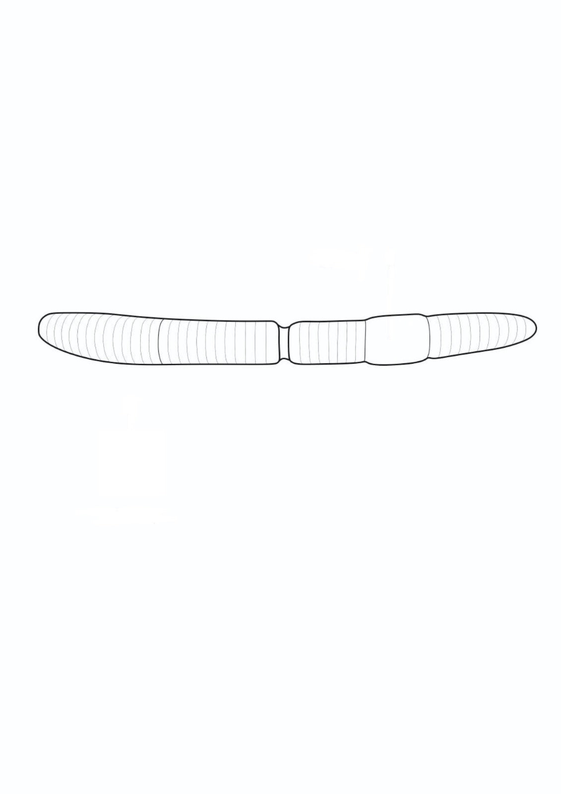 Killerwurm – UV-Softbait für Forelle & Lachs | Lux Bait