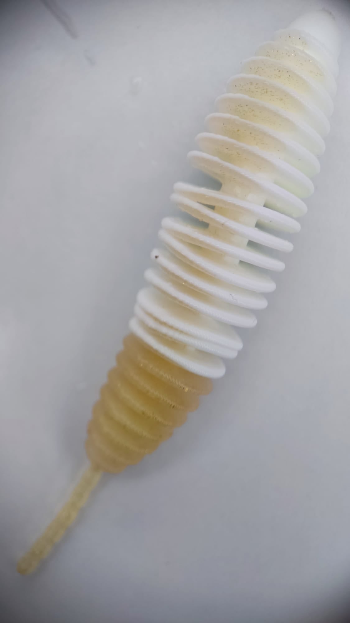 Lux Maden 70 mm – UV Softbait für Forelle & Lachs | Lux Bait